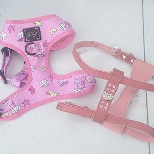 2 dog harnesses